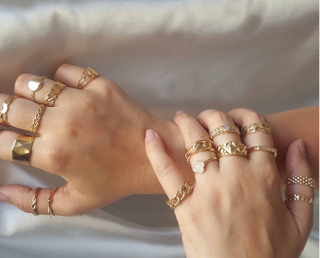 April Venus Highlights November 2024